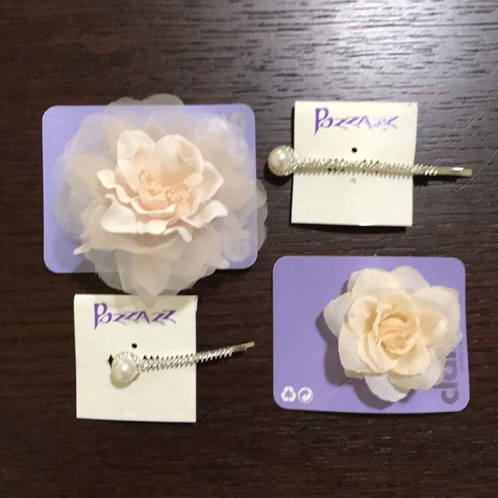 Set of Hair Clips